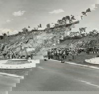 Rockhampton Bull Statues - Accommodation Mooloolaba
