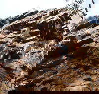 Rock Climbing in Morialta - Accommodation Mooloolaba