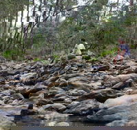 Rocksberg Park Heritage Reserve - Accommodation Mooloolaba