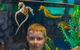 Seahorse World - thumb 2