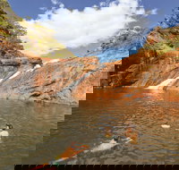 Serpentine - Accommodation Mooloolaba