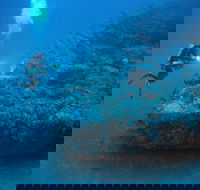 The Zanoni Wreck - Accommodation Mooloolaba