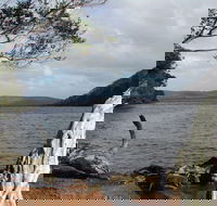 Walpole-Nornalup Inlet - Accommodation Mooloolaba