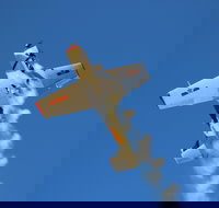 Warbird Aerial Adventures - Accommodation Mooloolaba