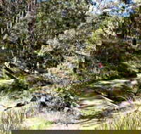 Wollomombi Walking Track - Accommodation Mooloolaba