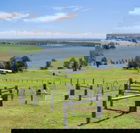 Ashby - Accommodation Mooloolaba