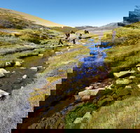 Australian Alps Walking Track - Accommodation Mooloolaba