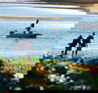 Ayr - Accommodation Mooloolaba