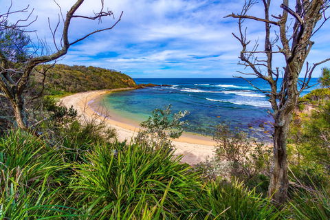 Bendalong (Inyadda) Beach - Accommodation Mooloolaba 0