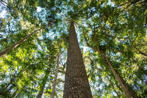 Big Sky National Parks - Accommodation Mooloolaba 0