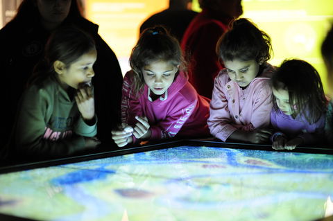 Bilya Koort Boodja - Centre For Nyoongar Culture And Environmental Knowledge - Accommodation Mooloolaba 0