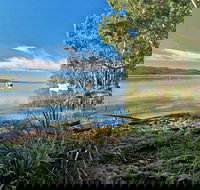 Black Oaks Picnic Area - Accommodation Mooloolaba