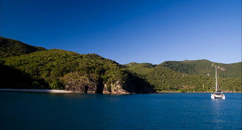 Butterfly Bay - Hook Island - Accommodation Mooloolaba 0