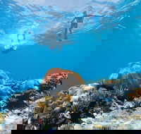 Capricorn Coast and Great Keppel Island Drive Itinerary - Accommodation Mooloolaba