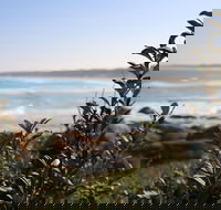 Cape Conran Coastal Park - Accommodation Mooloolaba