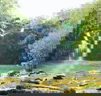 Cedar Creek Falls - Accommodation Mooloolaba