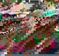 Chinchilla - Accommodation Mooloolaba