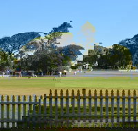 Cootamundra Cricketing Exploration - Accommodation Mooloolaba