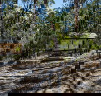 Couridjah Corridor Walk - Accommodation Mooloolaba