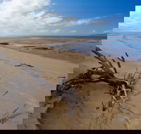 Edmund Kennedy Girramay National Park - Accommodation Mooloolaba