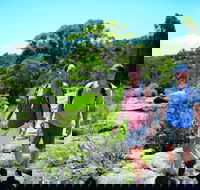 Eukey - Accommodation Mooloolaba