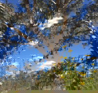 Euroa Arboretum - Accommodation Mooloolaba