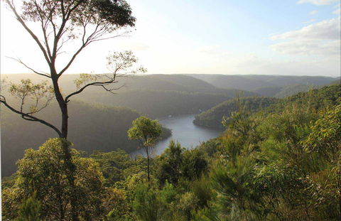 Great North Walk - Berowra Valley National Park - Accommodation Mooloolaba 0