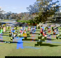 Hello Koalas Sculpture Trail - Accommodation Mooloolaba