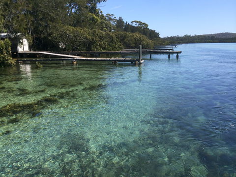 Kayaking Tomaga River - Accommodation Mooloolaba 1
