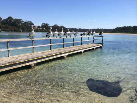 Kayaking Tomaga River - Accommodation Mooloolaba 2