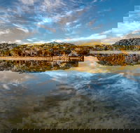 Lashmar Conservation Park - Accommodation Mooloolaba