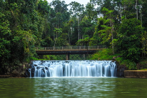 Malanda Falls - Accommodation Mooloolaba 0