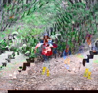 Margaret River Rails Trail - Accommodation Mooloolaba