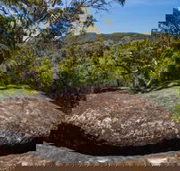 Marramarra Ridge to Smugglers Ridge walking track - Accommodation Mooloolaba