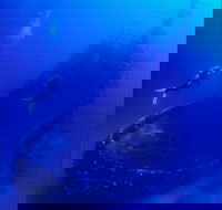 Merimbula Divers Lodge - Accommodation Mooloolaba