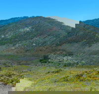 Monument Hill Walking Track - Accommodation Mooloolaba
