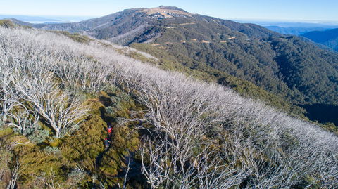 Mt Buller Bike Park - Accommodation Mooloolaba 0
