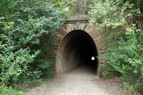 Mushroom Tunnel - Accommodation Mooloolaba 0
