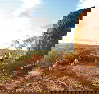 Natural Sciences Loop - Accommodation Mooloolaba