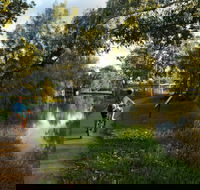 North Western Fishing Trail - Accommodation Mooloolaba