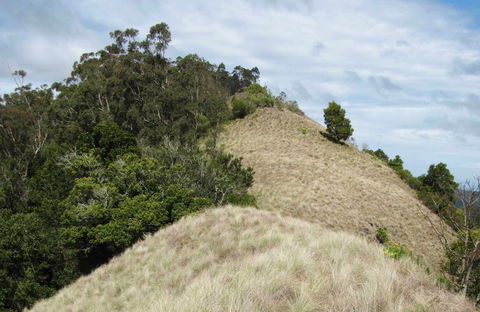 Pieries Peak Walking Track - Accommodation Mooloolaba 0