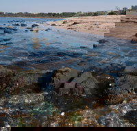 Point Cook Marine Sanctuary - Accommodation Mooloolaba