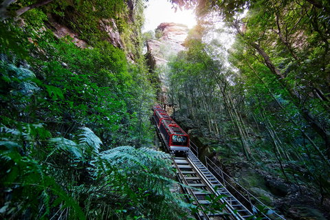 Scenic World Blue Mountains - Accommodation Mooloolaba 0