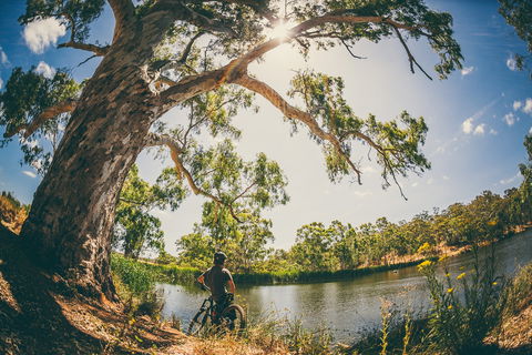 Sturt Gorge Recreation Park - Accommodation Mooloolaba 0