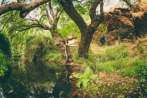 Sturt Gorge Recreation Park - Accommodation Mooloolaba 1
