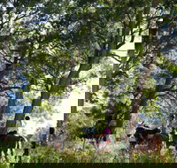 The Outlook Riding Academy - Accommodation Mooloolaba