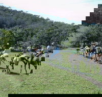Timbertops - Horse Riding - Accommodation Mooloolaba