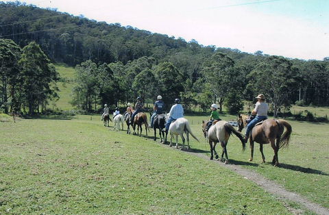 Timbertops - Horse Riding - Accommodation Mooloolaba 0
