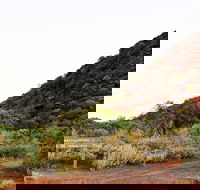 Whyalla Conservation Park - Accommodation Mooloolaba