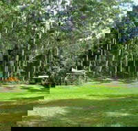 Woolgoolga Creek Picnic Area - Accommodation Mooloolaba